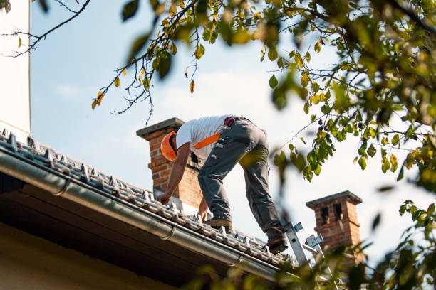Best Flat Roof Repair Services  in Benson, MN