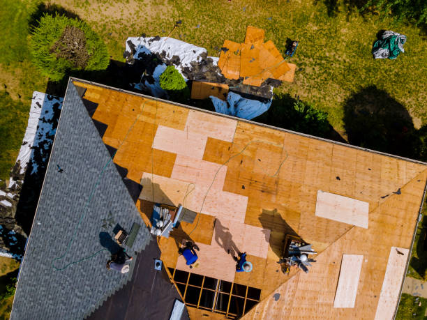 Best Roof Leak Repair  in Benson, MN