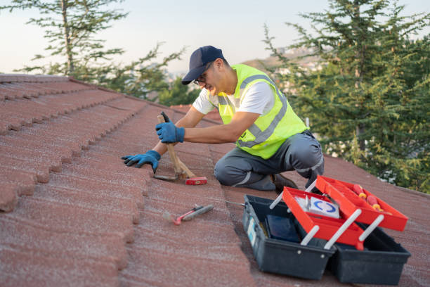 Best Storm Damage Roof Repair  in Benson, MN