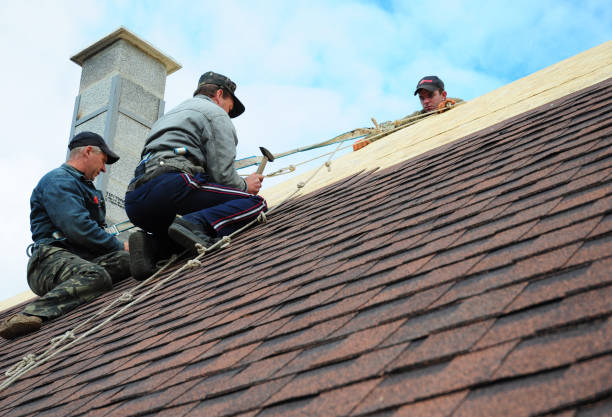 Best Flat Roof Repair Services  in Benson, MN